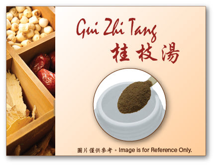 Gui Zhi Tang 桂枝湯