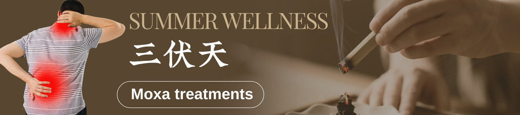 🎯 Free Shipping on Orders Over $400 | Summer Moxa Sale – 10% Off Selected Moxibustion Products 💯