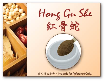 Hong Gu She 紅骨蛇 (pre-order, sold out)