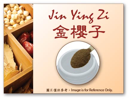 Jin Ying Zi 金櫻子 (pre-order)