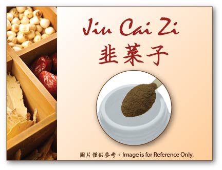 Jiu Cai Zi 韭菜子