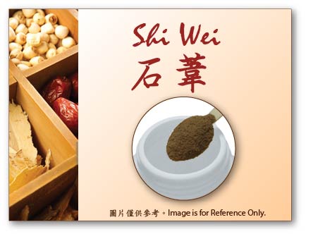 Shi Wei 石葦