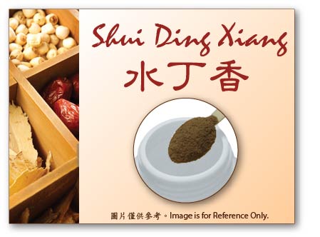 Shui Ding Xiang 水丁香