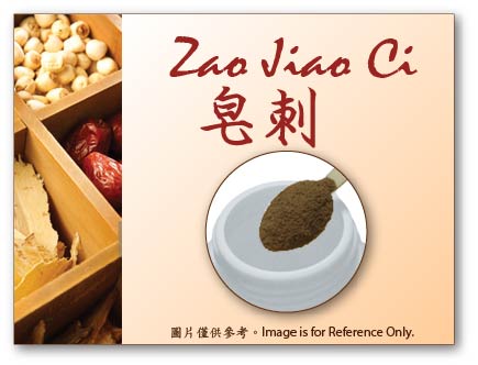 Zao Jiao Ci 皂刺