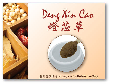 Deng Xin Cao 燈芯草 (pre-order)