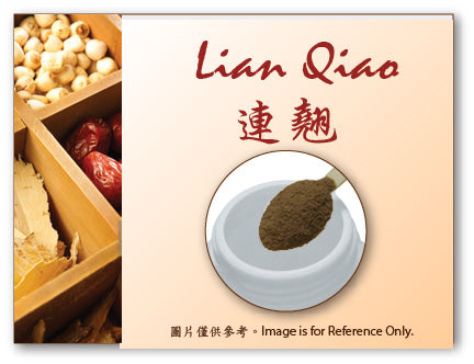 Lian Qiao 連翹