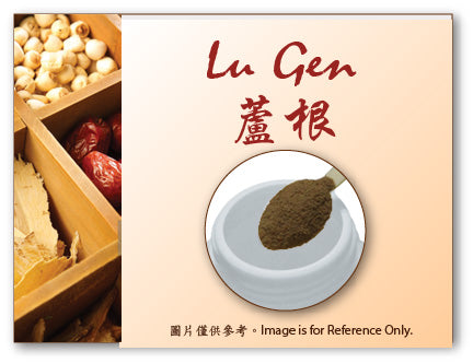 Lu Gen 蘆根