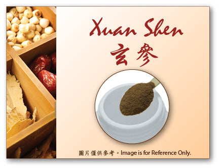 Xuan Shen 玄參