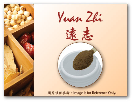 Yuan Zhi 遠志